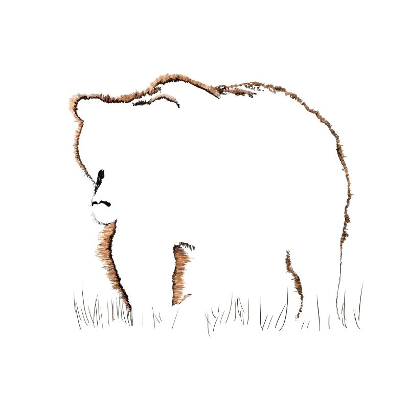 Ours