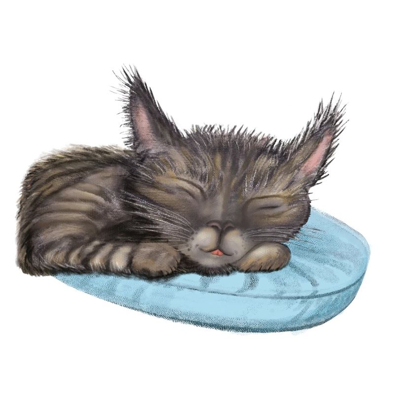 Chat endormi