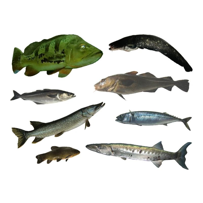 Pisces