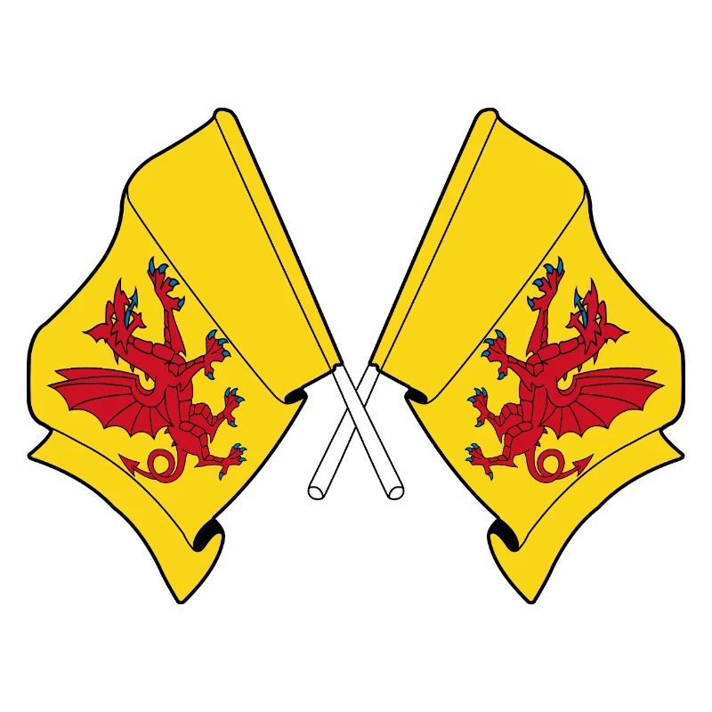 Two flags crossed – Somerset