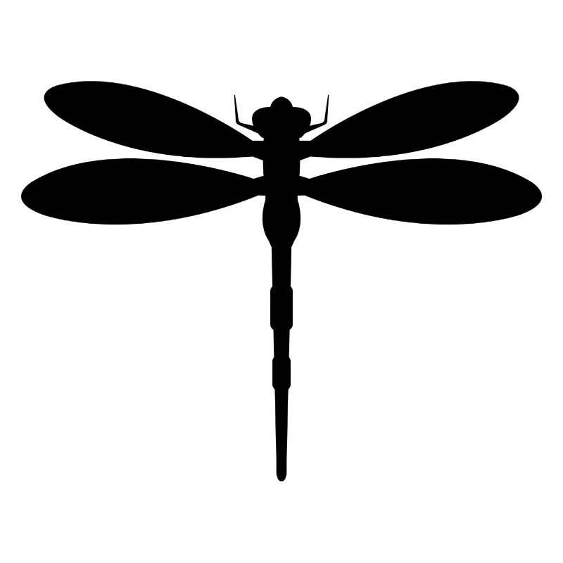Libellule