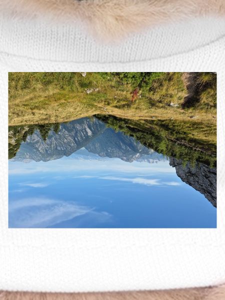 Alpine Panorama