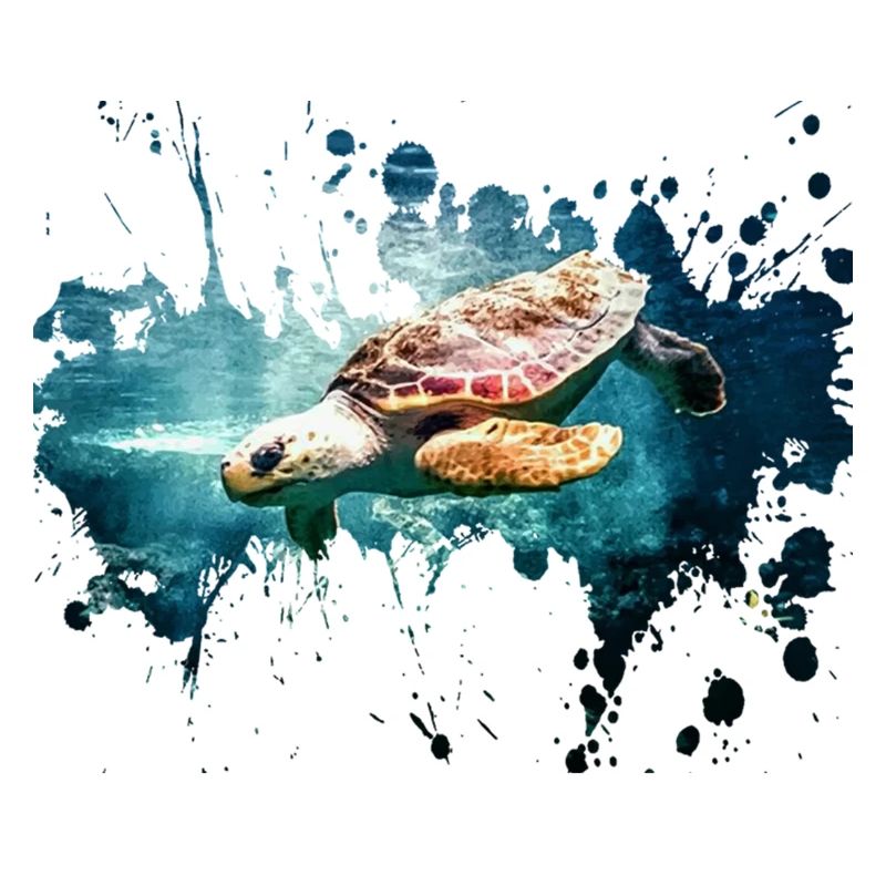 Petcontest turtle