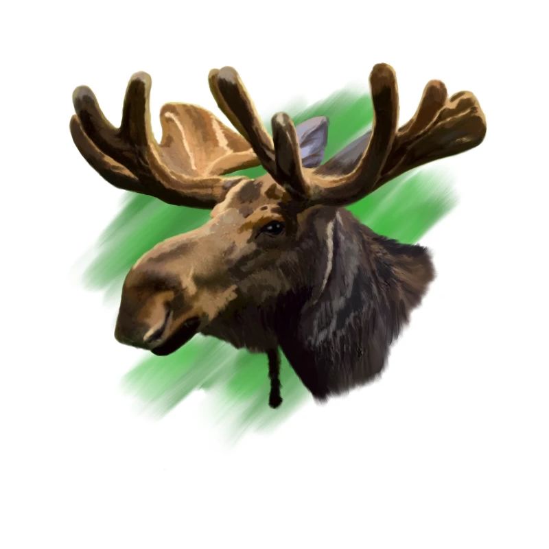 moose