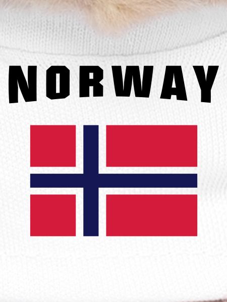 Norway Flag