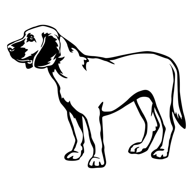 Hannoverscher Schweisshund