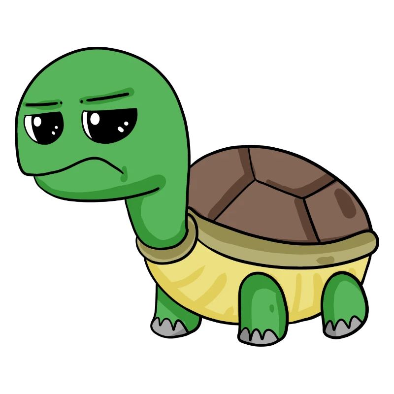 Tortue