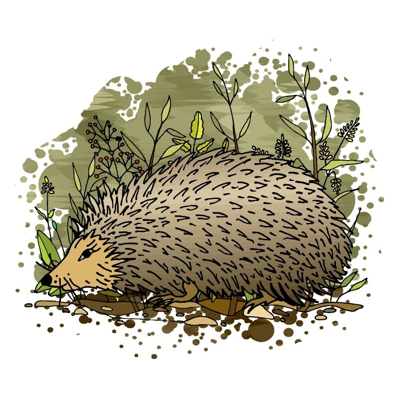 Igel