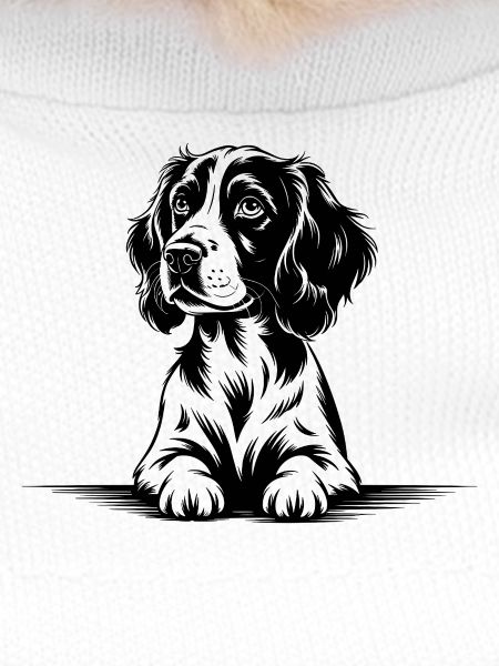 Cocker Spaniel