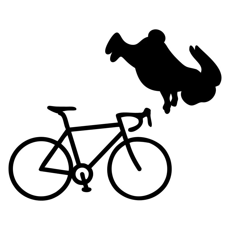Bicycle Cycling Bunny