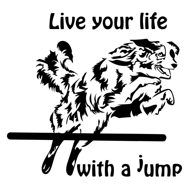 Agility Australian Shepherd Aussie