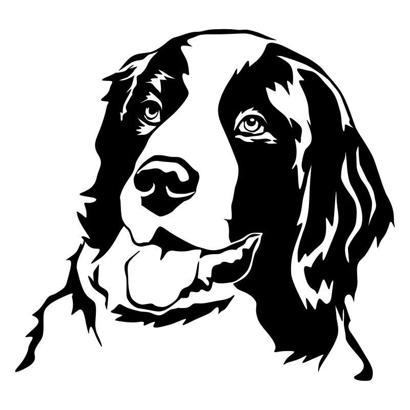 Landseer head