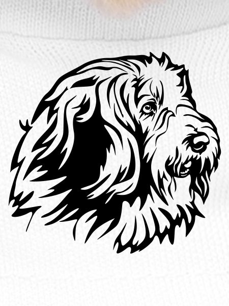 Bearded Collie Kopf