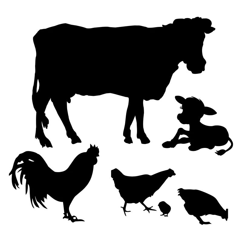 Cow calf chickens rooster chicks