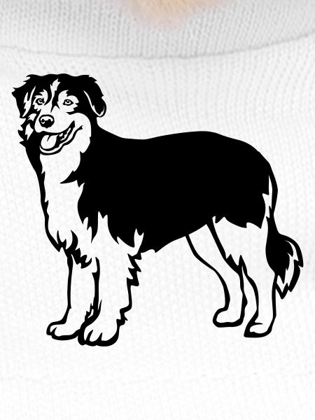 Australian Shepherd