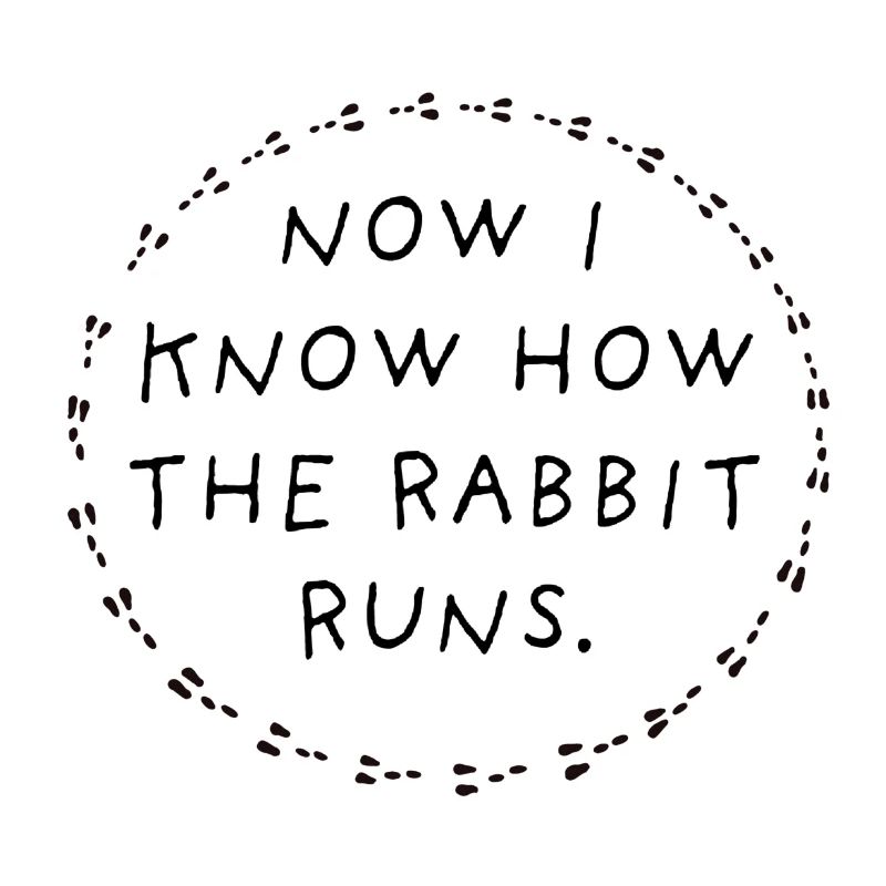 Now I know how the rabbit runs.