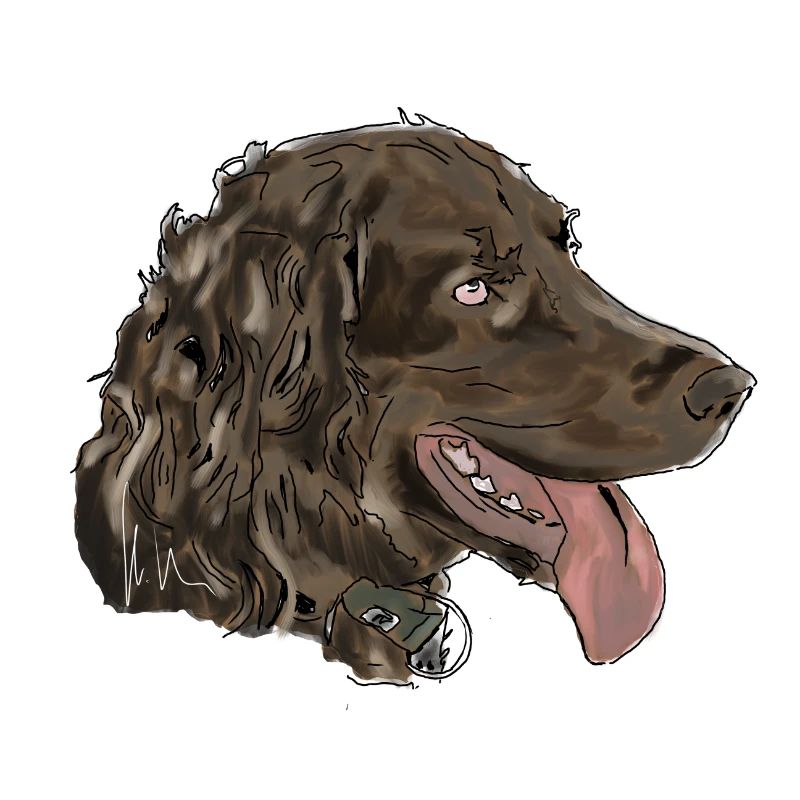 Quaildog