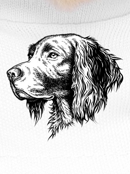 Münsterländer Portrait