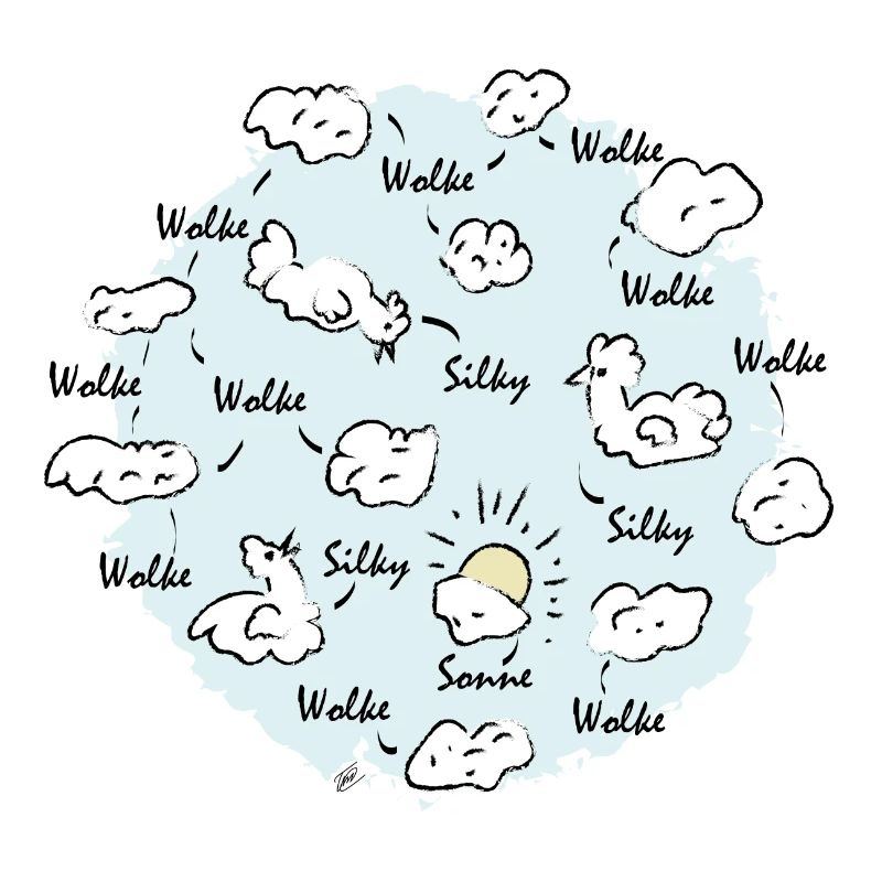 Silk Cloud