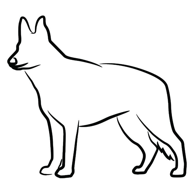 German Shepherd Sketch