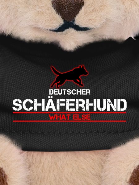 DSH What else ?!