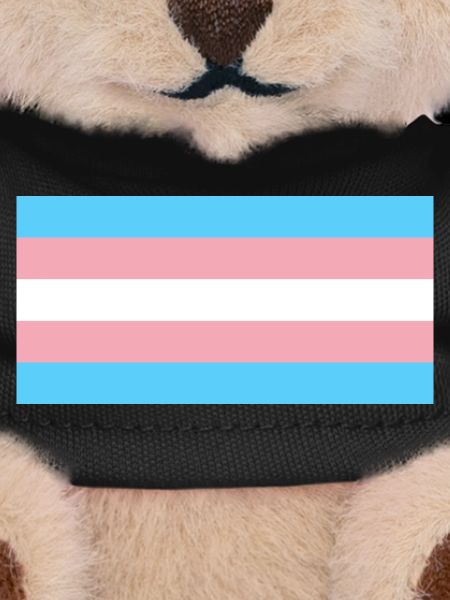 Transgender Pride Flag
