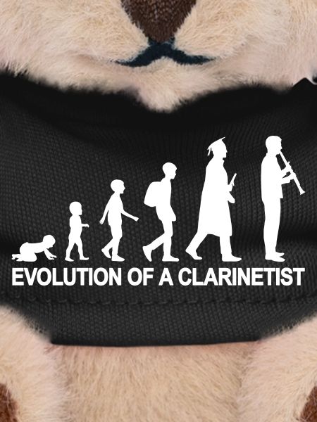 Development of a clarinetist