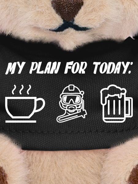 My Plan For Today