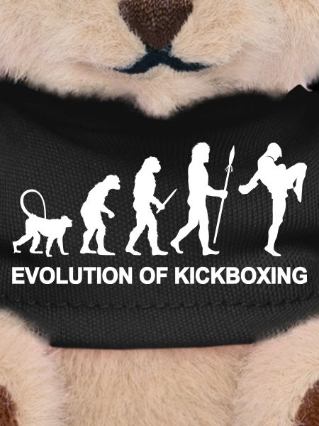 Development of kickboxing