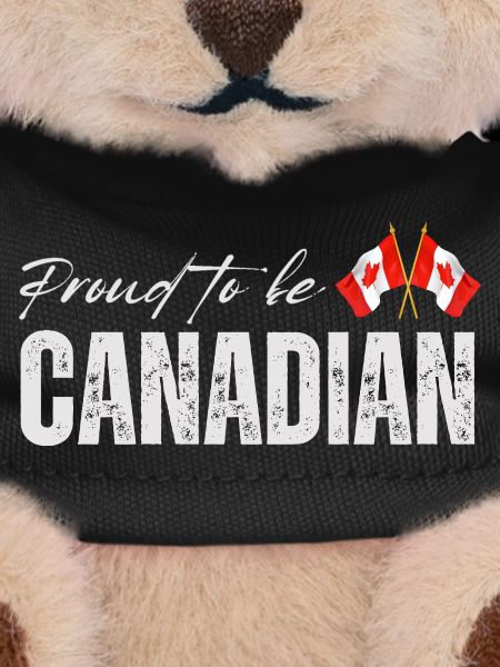 Flag of Canada, Canadian pride