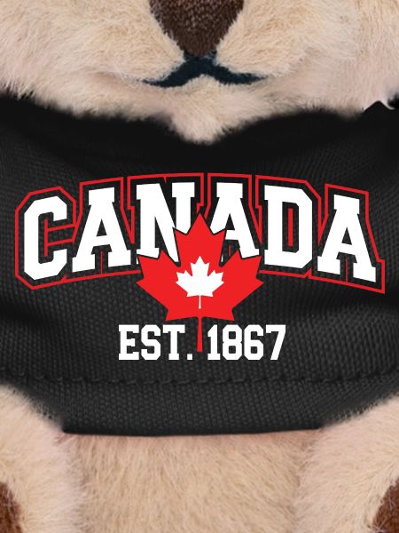 Canada Patriotic Maple Leaf Design