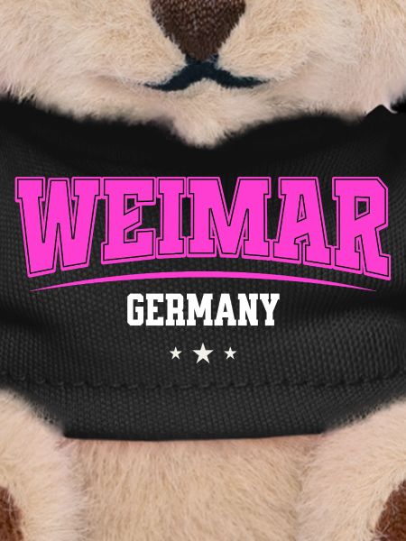 Weimar Germany Pink Retro Logo