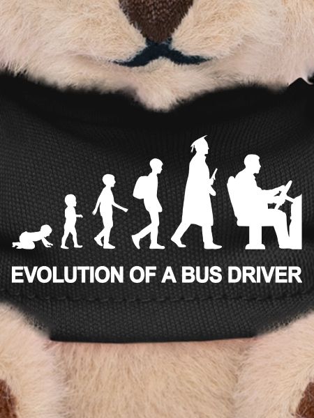 Evolution Of A Bus Driver