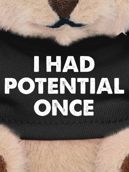 I Had Potential Once