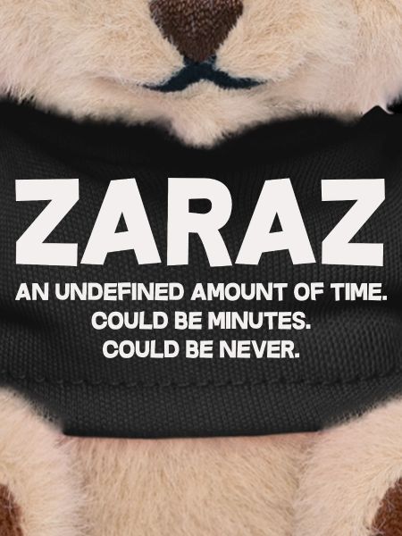 Zaraz Undefined Amount Of Time