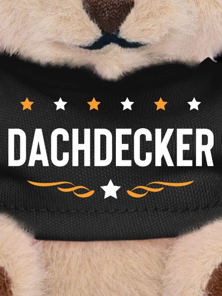 Dachdecker Beruf