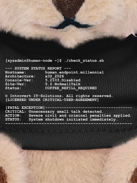 Lustiges IT-Systemadministrator-Terminaldesign