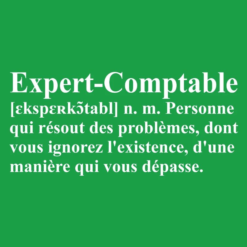 Expert-Comptable Définition