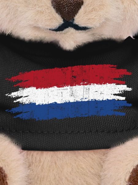 Dutch Flag Brush Strokes Tee