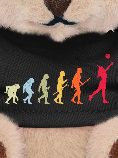 Évolution du volleyball