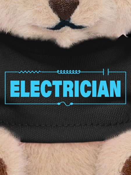 ELECTRICIAN