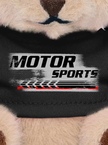 Motor Sports