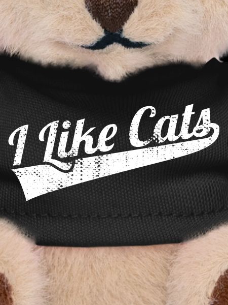 I like cats