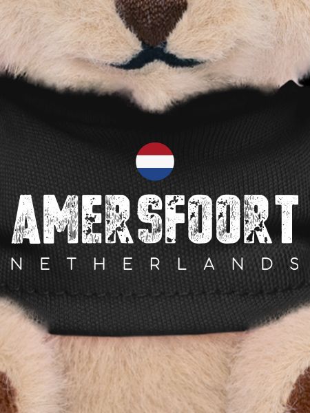Amerfoort Netherlands Crest Tee