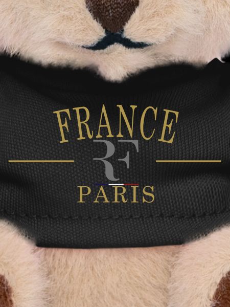 France RF flag