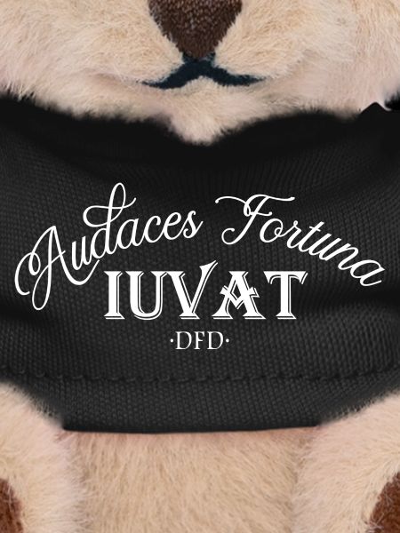 Fortune Favours The Bold