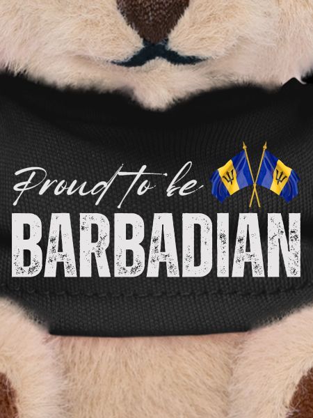 Barbadian Pride, Barbados Flag