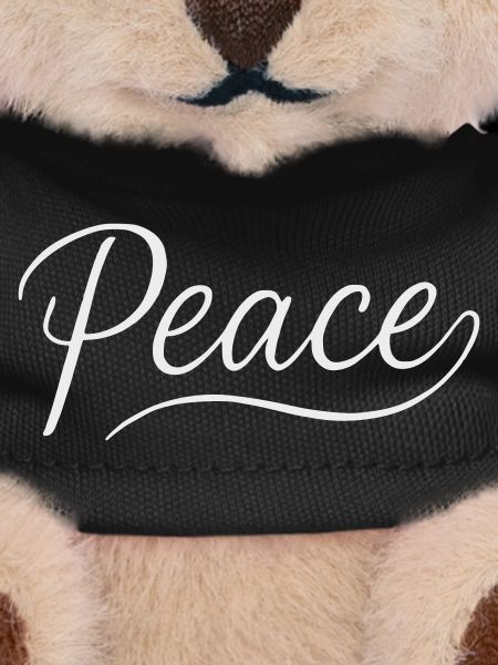 Peace Lettering Cursive Font