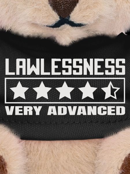 Funny saying: Lawlessness advanced!