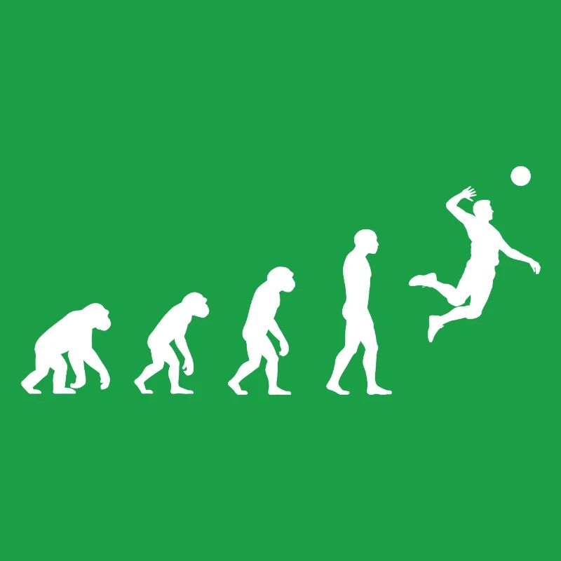 Evolution volleyball 